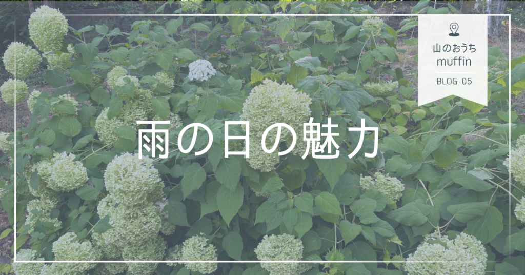 長野県白馬村みそら野”山のおうちmuffin” 雨の日の魅力
