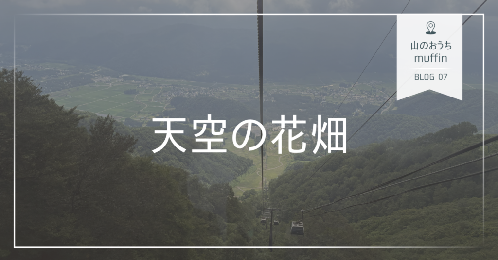 山のおうちmuffin天空の花畑写真