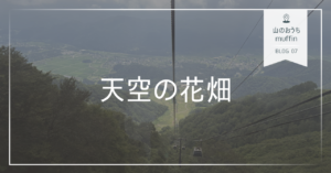 山のおうちmuffin天空の花畑写真